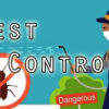 Pest Control Service